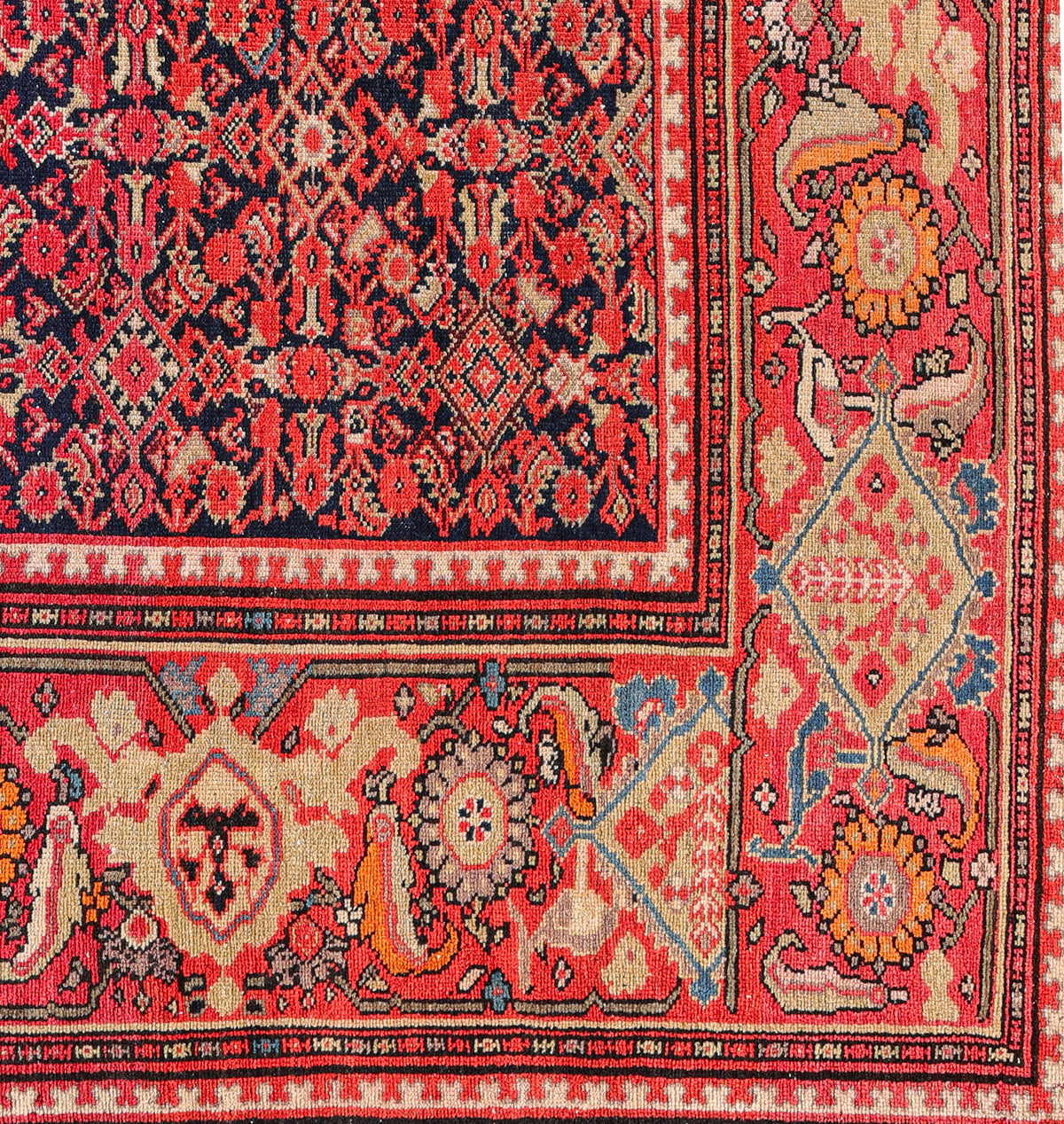 Malayer 2568 image 3