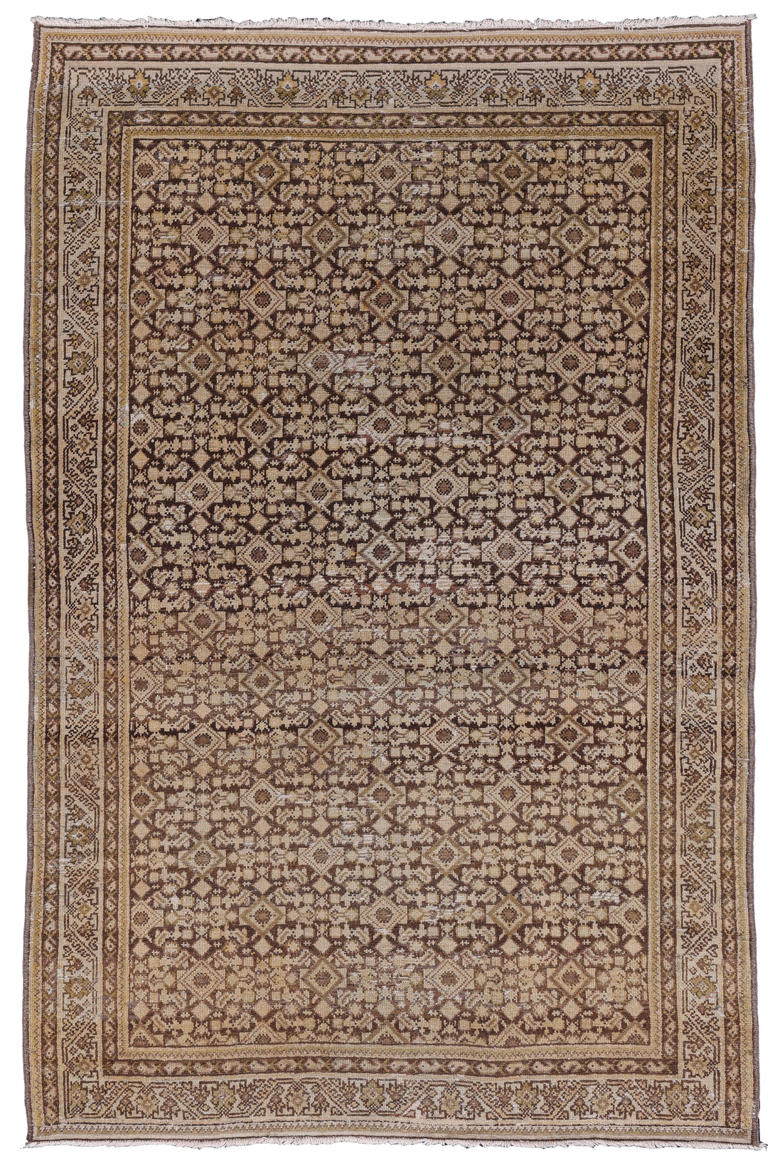 Malayer 05129 image 0