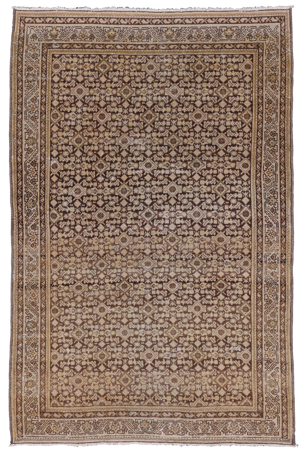Malayer 05129 image 0