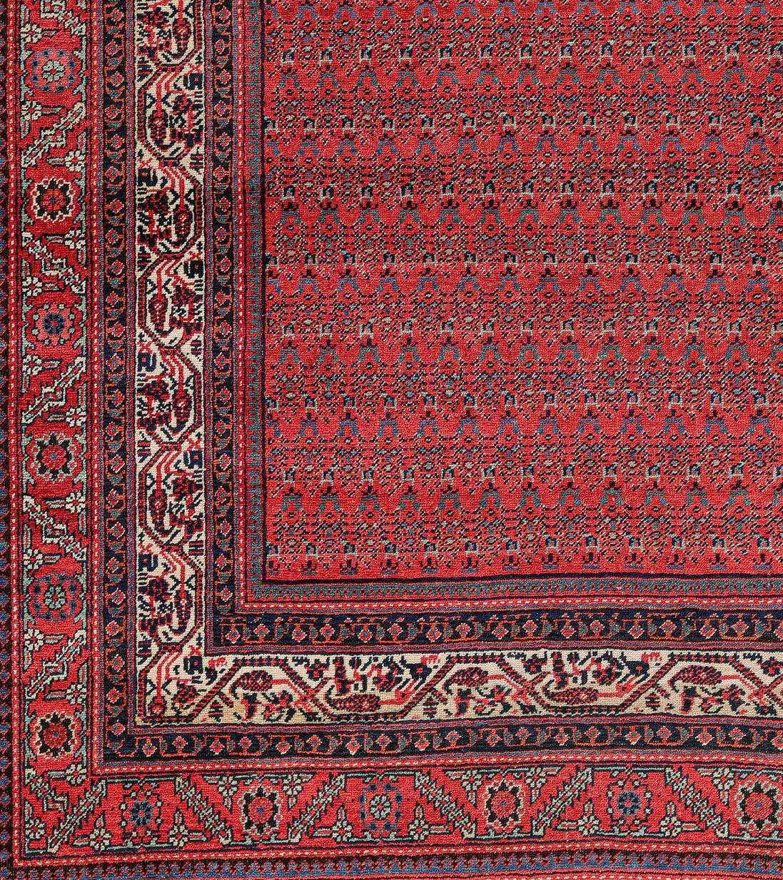 Saraband 11121 image 1