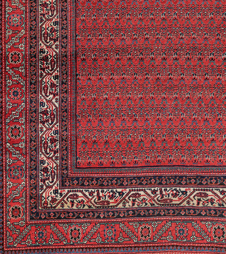 Saraband 11121 image 1