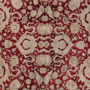 Agra 09199 image 2