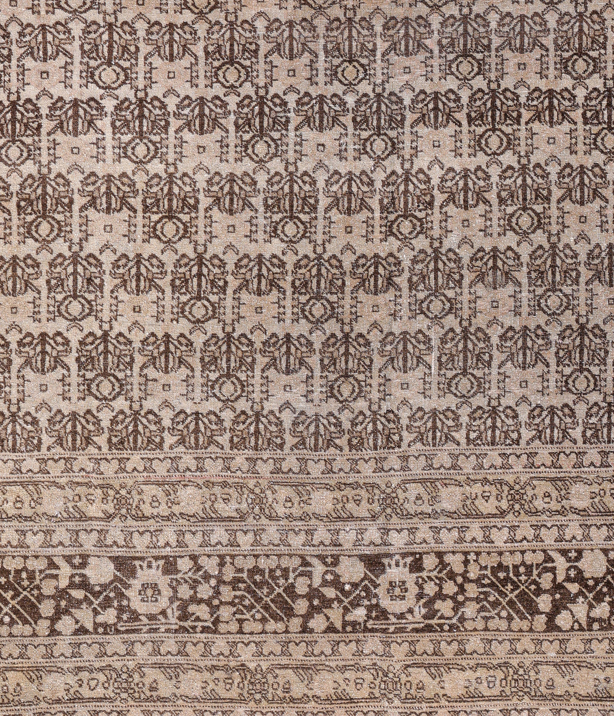 Tabriz 19107 image 2