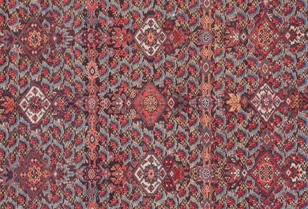 Malayer 05127 image 2
