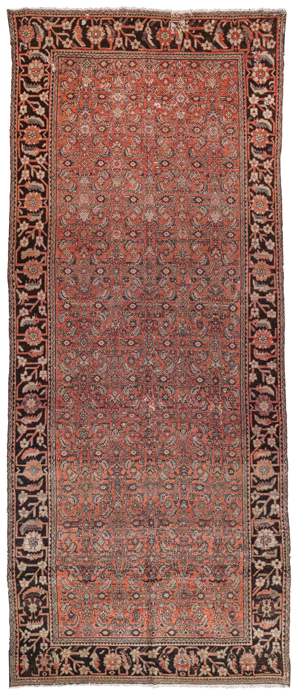 Malayer 03208 image 0