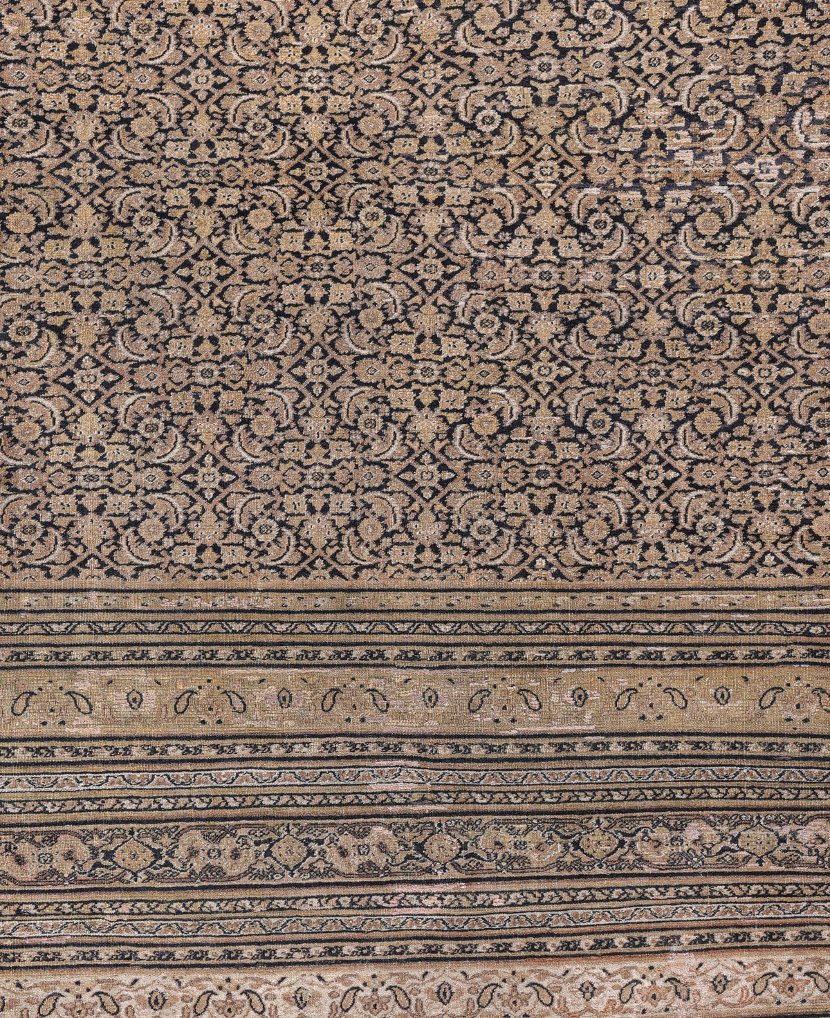 Dorosh 04201 image 2