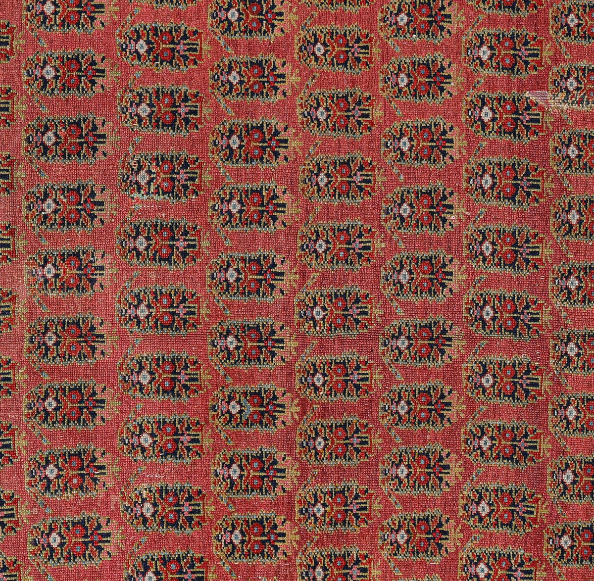 Malayer 08155 image 2