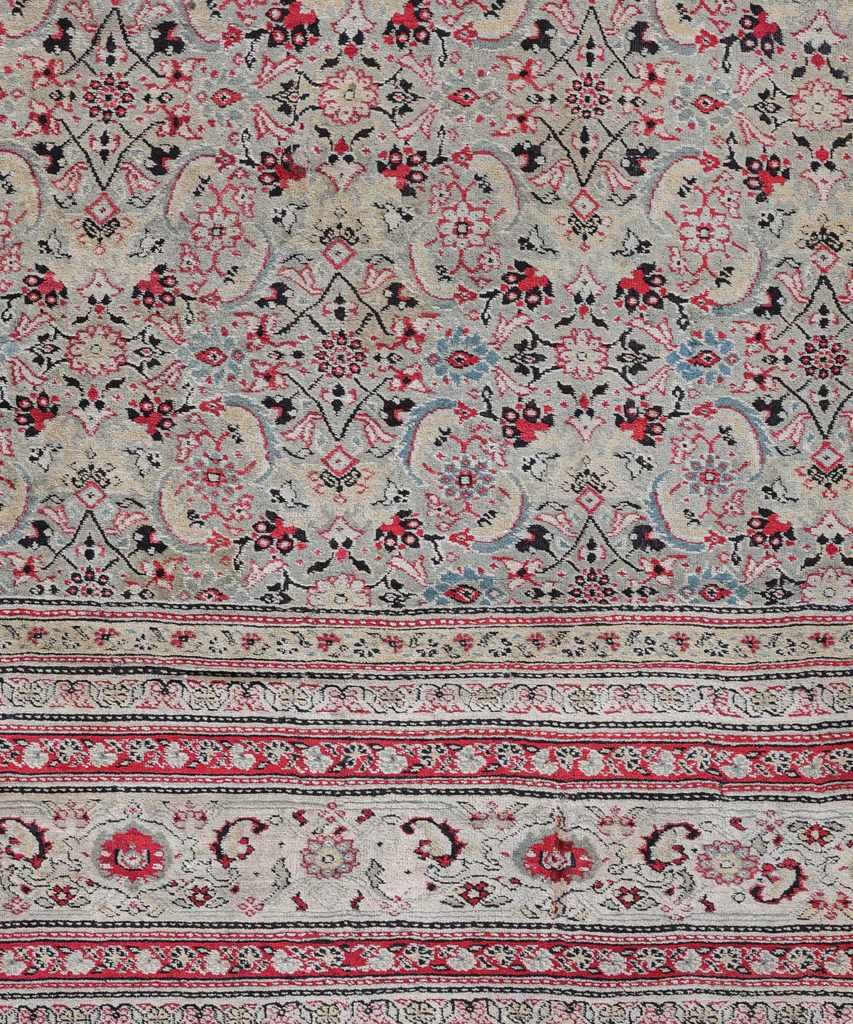 Agra 03247 image 2