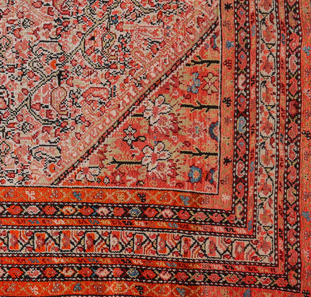 Malayer 2550 image 2