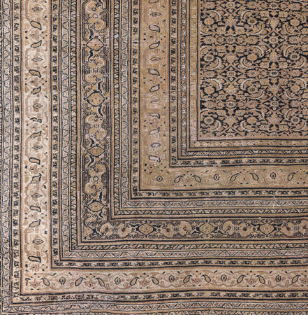 Dorosh 04201 image 1