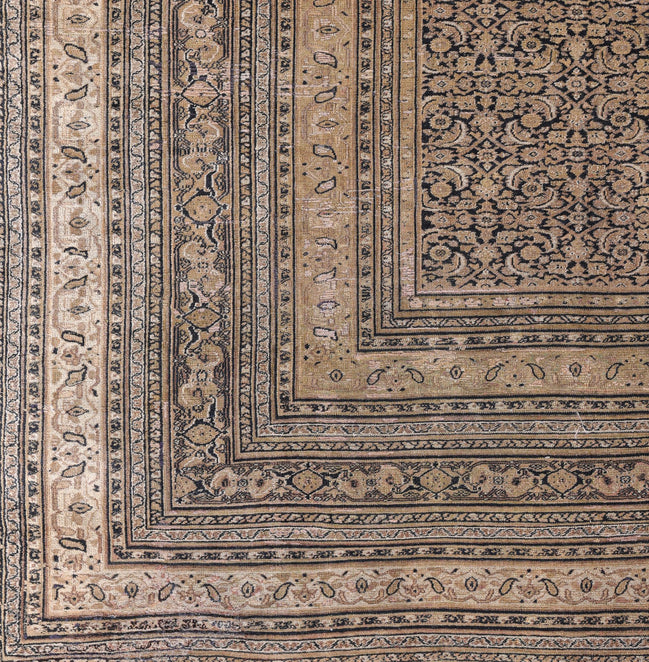 Dorosh 04201 image 1