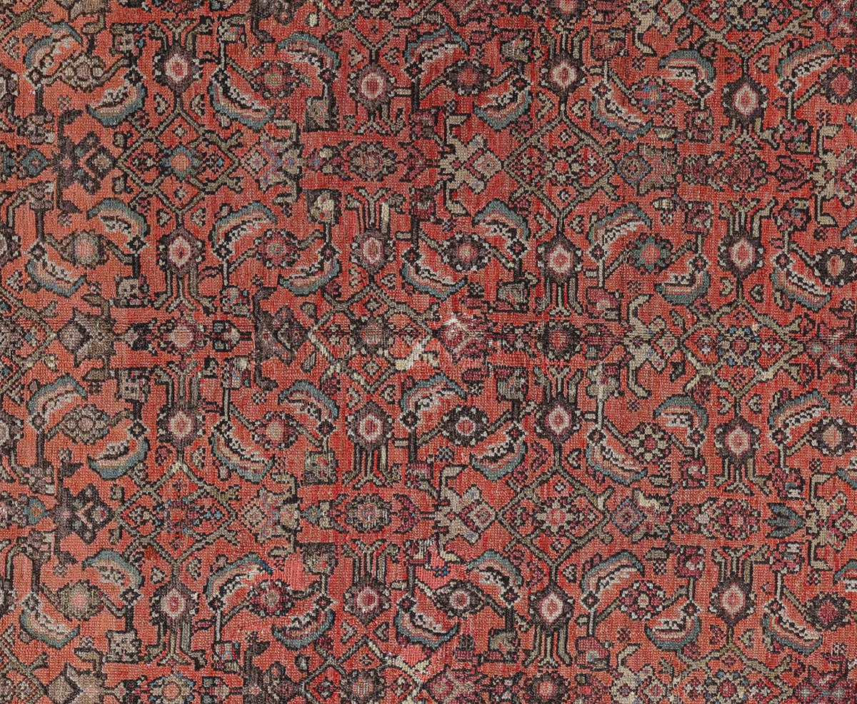 Malayer 03208 image 2