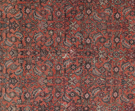 Malayer 03208 image 2