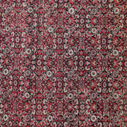 Agra 7228 image 3