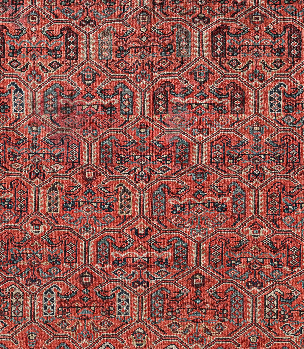 Malayer 00195 image 2
