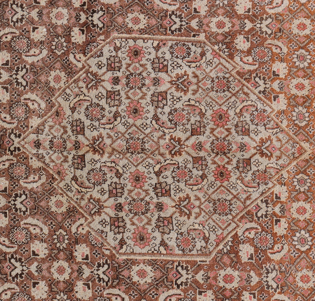 Tabriz 8201 image 3
