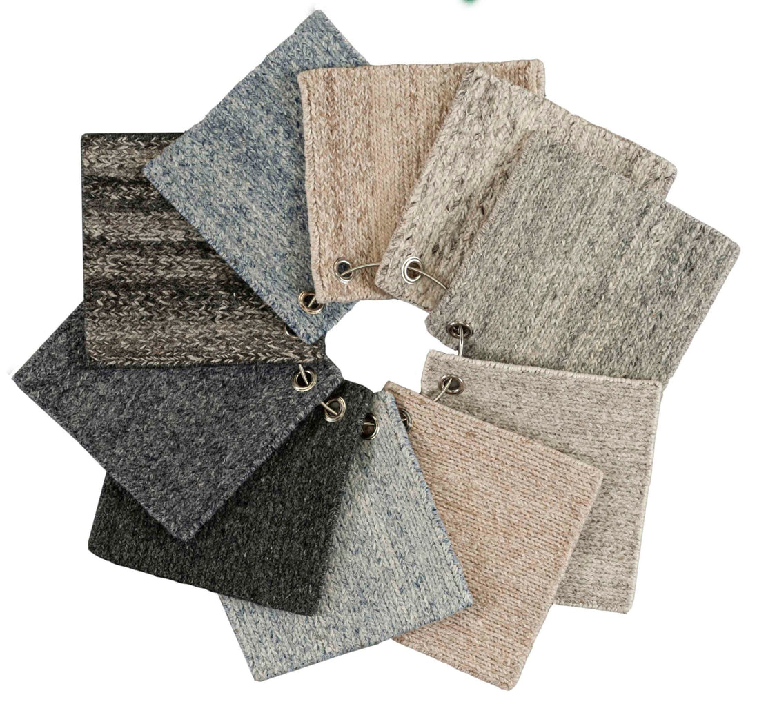 Stella Collection image 0