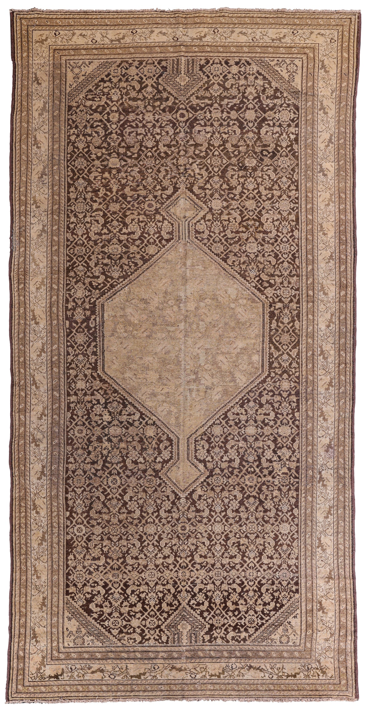 Malayer 06209 image 0