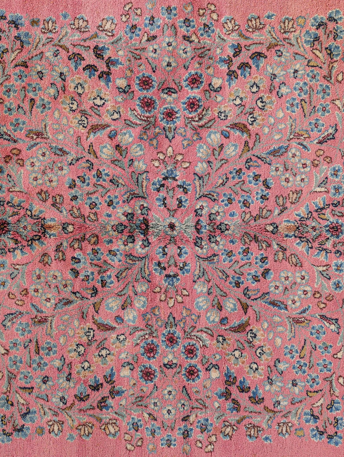 Kerman 4194 image 2