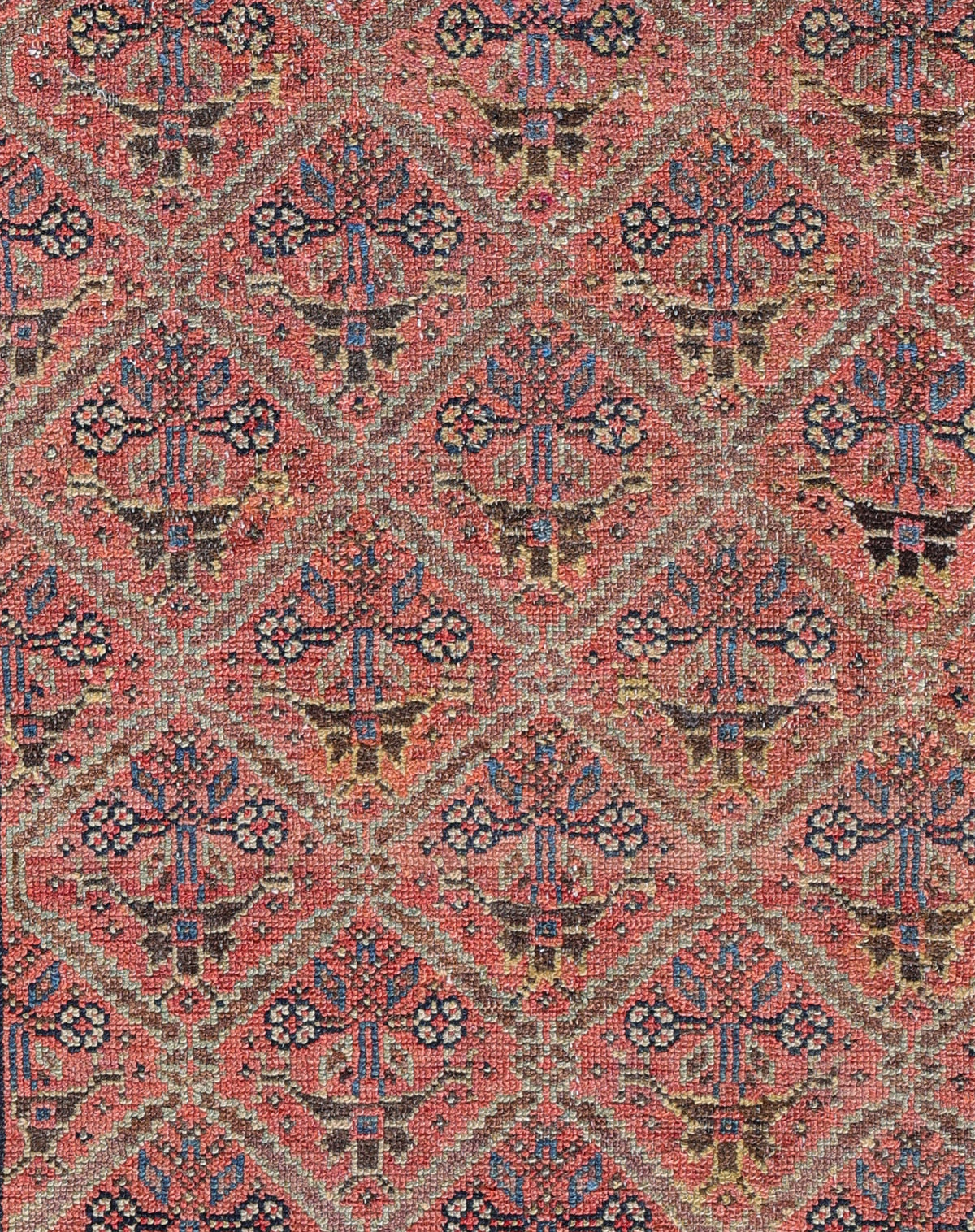 Malayer 06257 - image 3