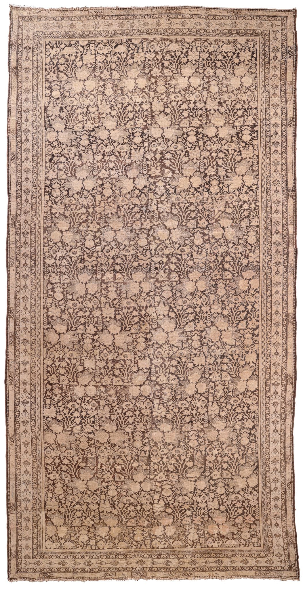 Malayer 06281 - image 1