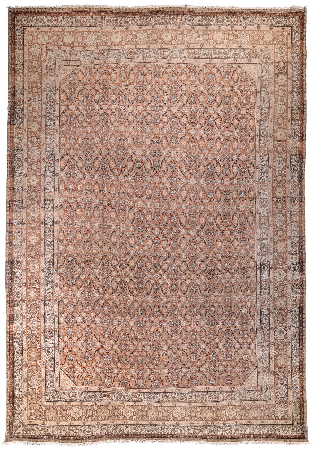 Tabriz 07254 - image 1