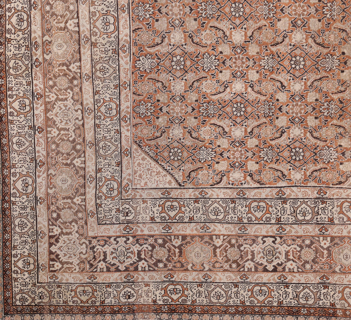 Tabriz 07254 - image 2