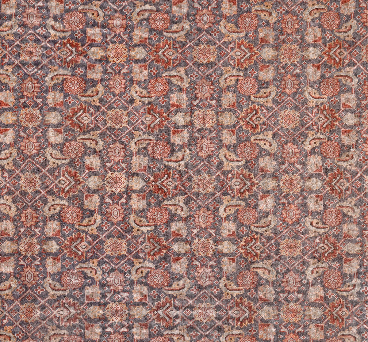 Tabriz 7364 - image 4