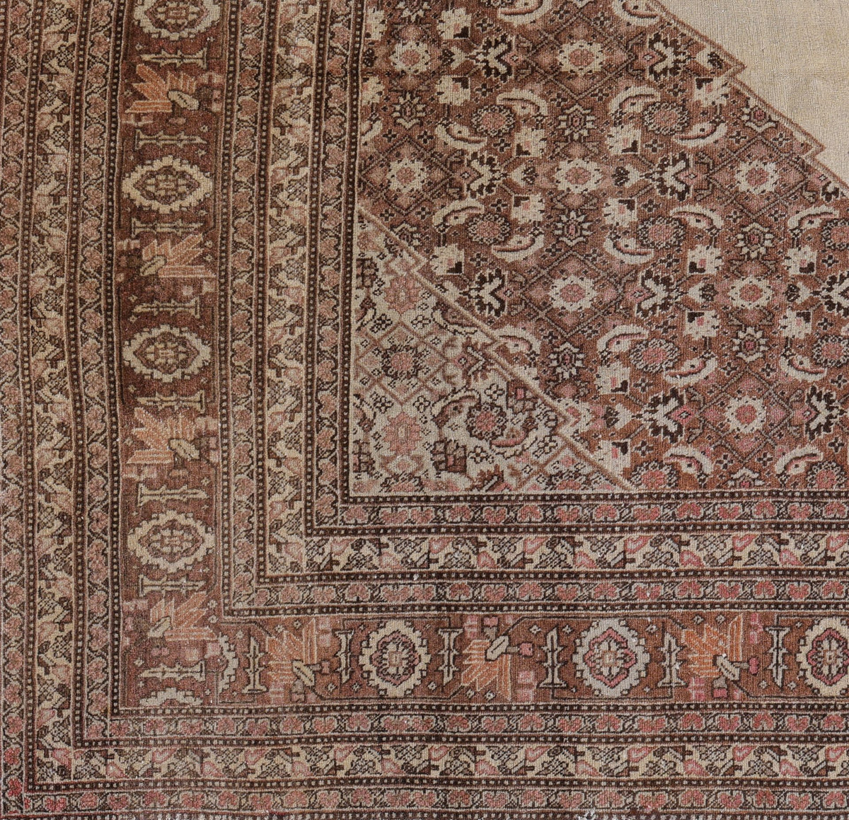 Tabriz 8201 image 1