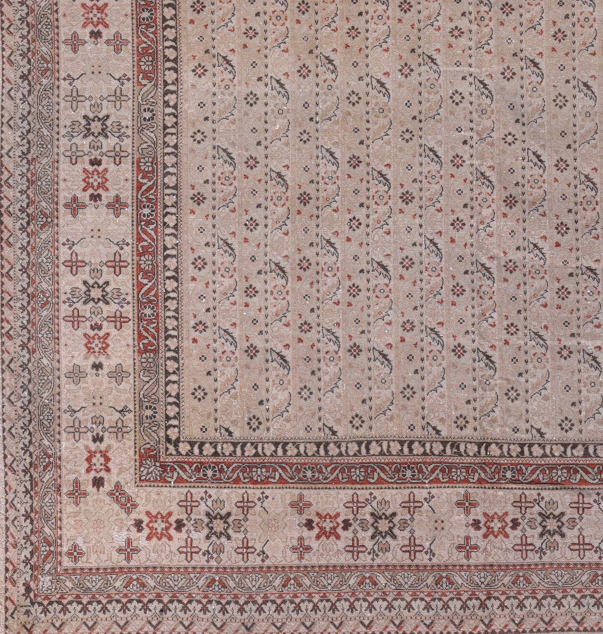 Sevas 6431 image 1
