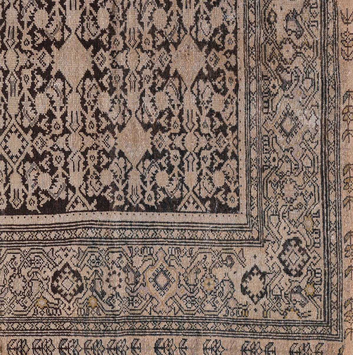 Malayer 09106 image 1