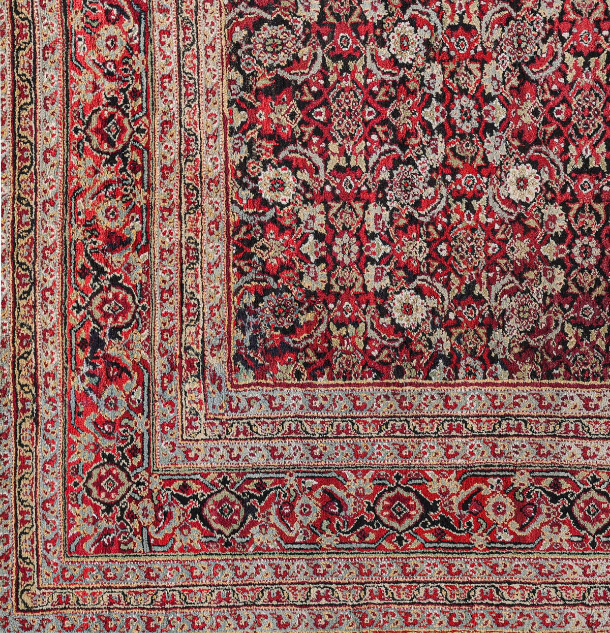 Agra 7228 image 2
