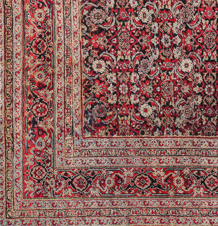 Agra 7228 image 2