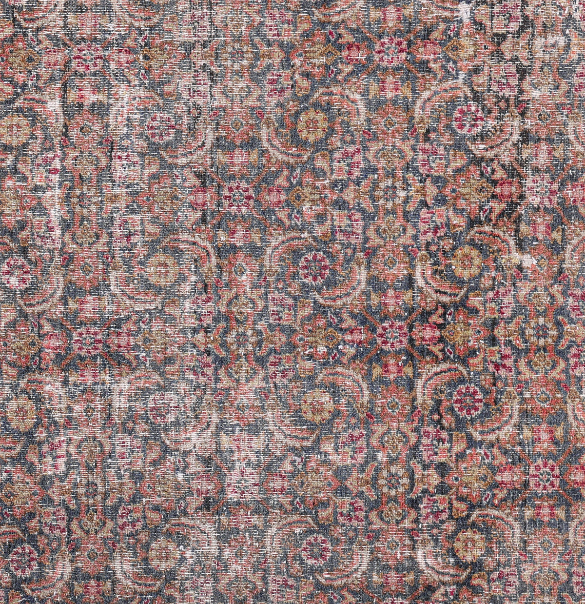 Dorosh 24107 image 1