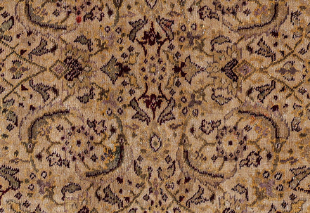 Agra 06286 image 2