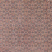 Dorosh 03209 image 2