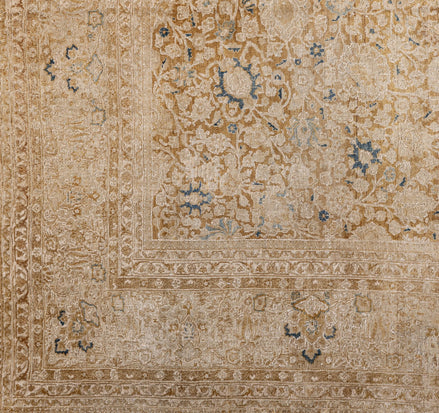 Dorosh 06277 image 1