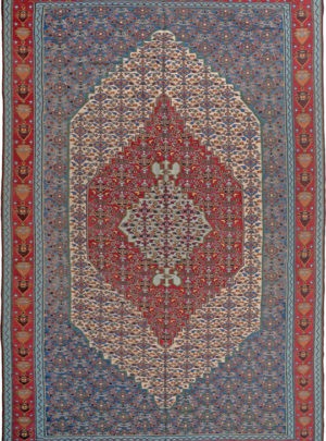 Senneh Kilim 5108