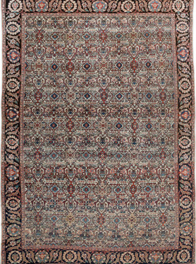 Fereghan 00376