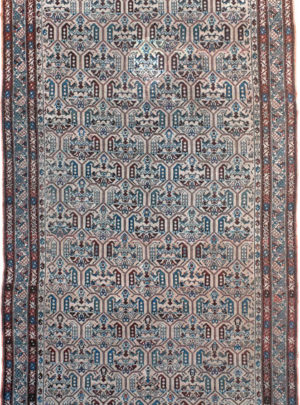 Malayer 14136