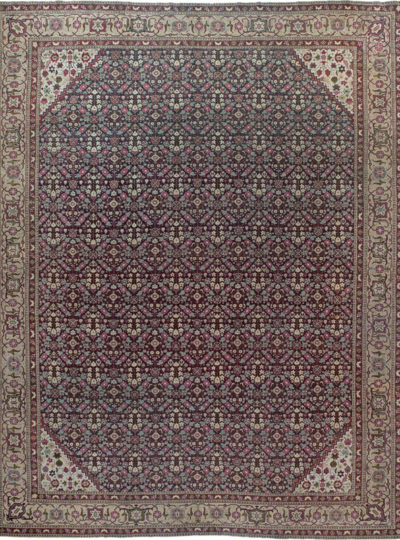 Agra 16127